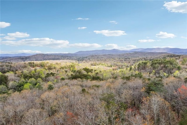 property view of mountains