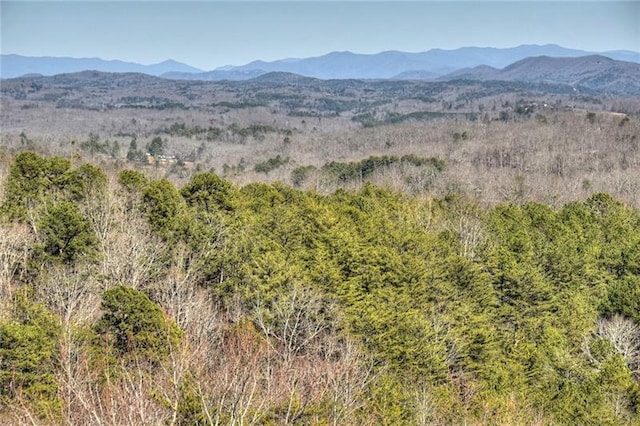 property view of mountains