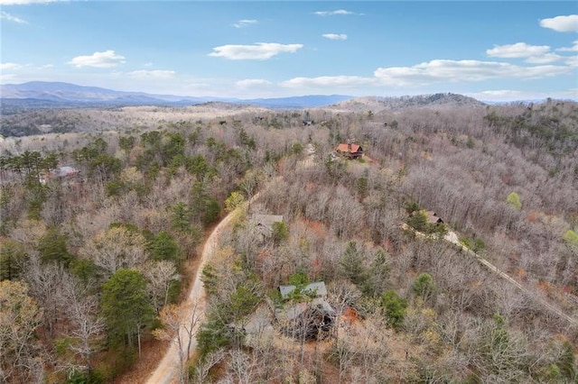 drone / aerial view featuring a mountain view