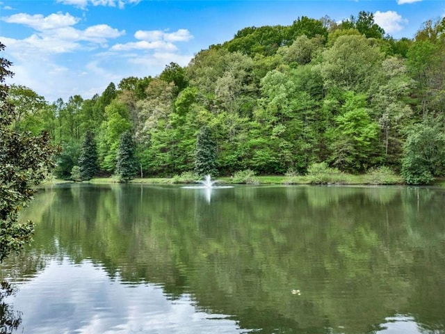 property view of water with a forest view