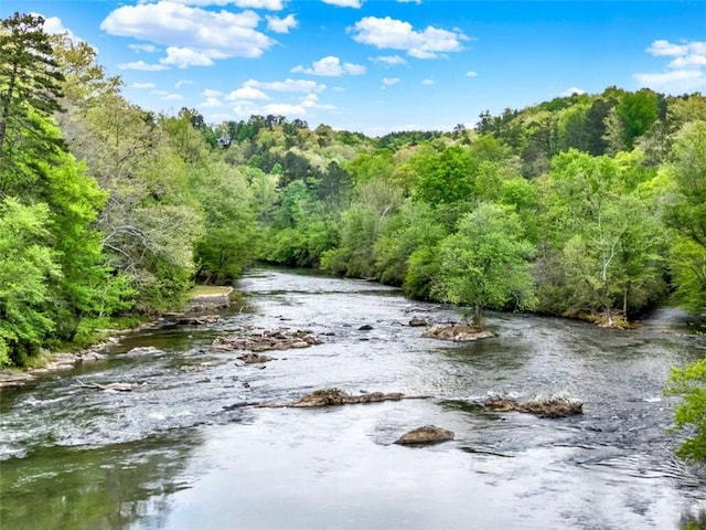 water view featuring a forest view