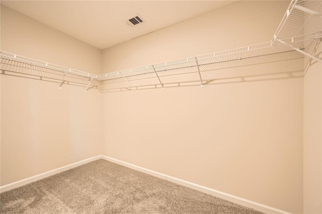 3070 Fareed St, Douglasville, GA 30135 - spacious closet with carpet