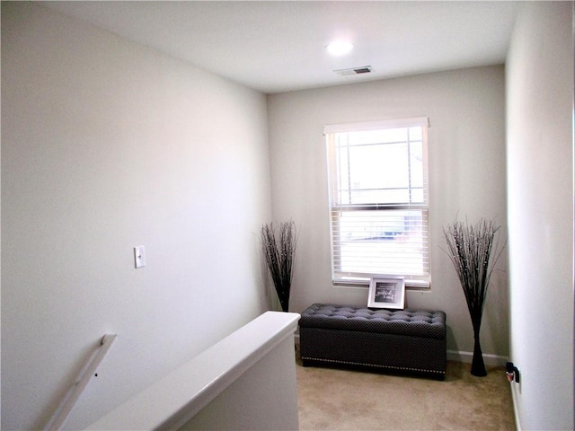 living area featuring light colored carpet