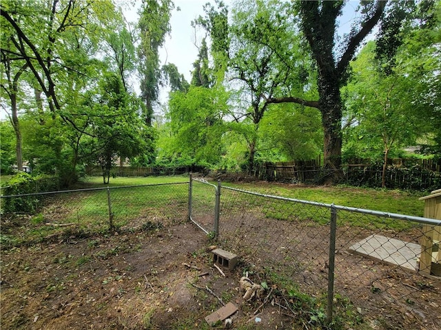 2940 Grand Ave SW, Atlanta, GA 30315 - view of yard with fence