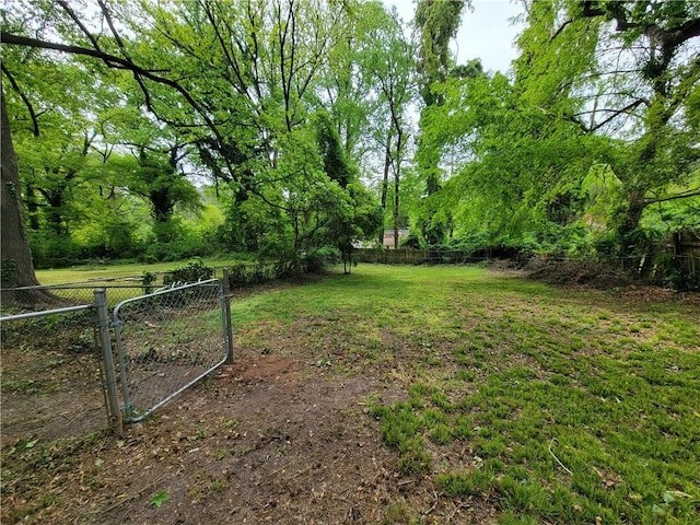 2940 Grand Ave SW, Atlanta, GA 30315 - view of yard with fence