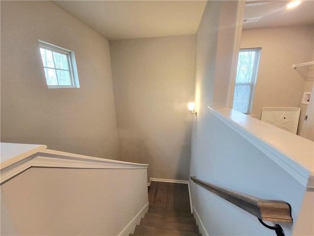 staircase featuring hardwood / wood-style floors