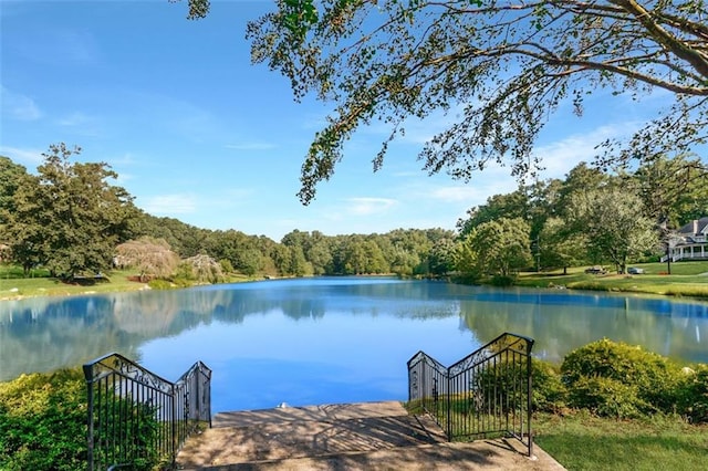 view of water feature featuring a boat dock