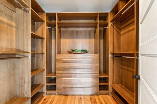 spacious closet with wood finished floors