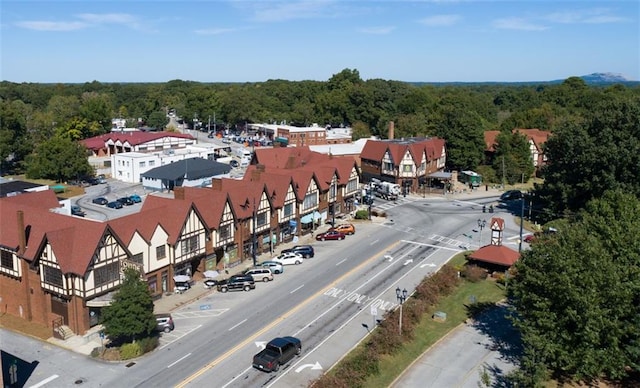 bird's eye view with a wooded view