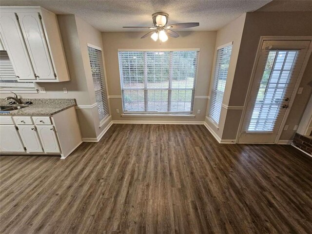 unfurnished dining area with dark hardwood / wood-style flooring, a wealth of natural light, and sink