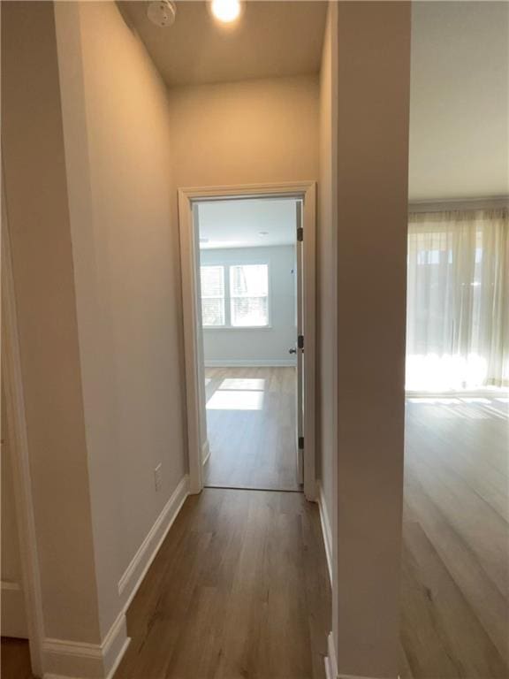 corridor with hardwood / wood-style flooring