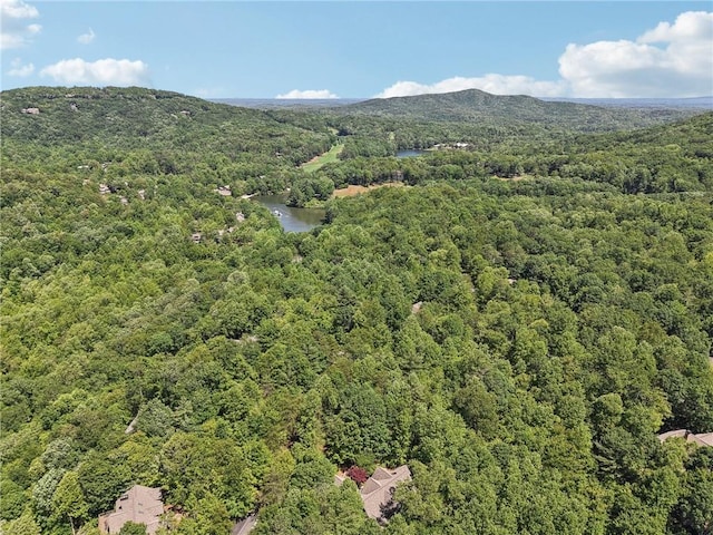 77 Crabapple Cir, Big Canoe, GA 30143 - bird's eye view of a heavily wooded area and a water and mountain view