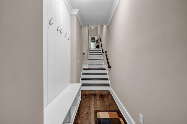 1120 Cordia Ave NW, Atlanta, GA 30318 - corridor featuring ornamental molding, dark wood finished floors, baseboards, and stairs