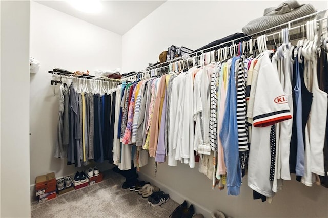 walk in closet featuring carpet floors