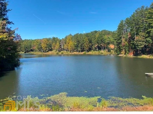 Listing photo 3 for 242 Overlook Dr, Ellijay GA 30540