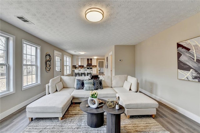 living room featuring wood-type flooring and a textured ceiling