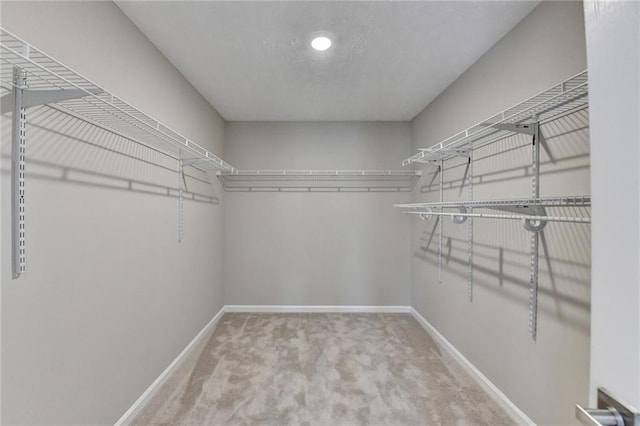 walk in closet featuring carpet flooring