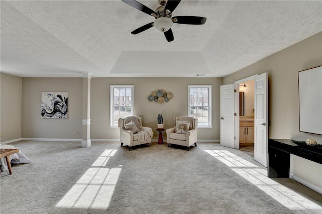 living area with a textured ceiling, light colored carpet, a raised ceiling, and a healthy amount of sunlight