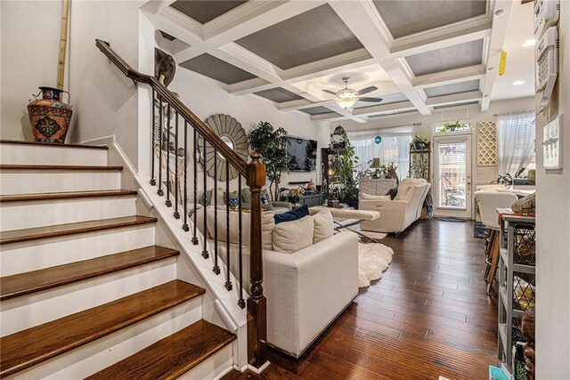 living area featuring beamed ceiling, ceiling fan, dark wood finished floors, stairway, and coffered ceiling
