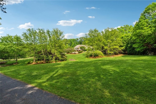 view of yard featuring a view of trees