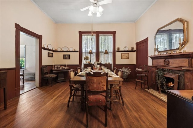 dining area with ceiling fan, dark hardwood / wood-style flooring, and ornamental molding