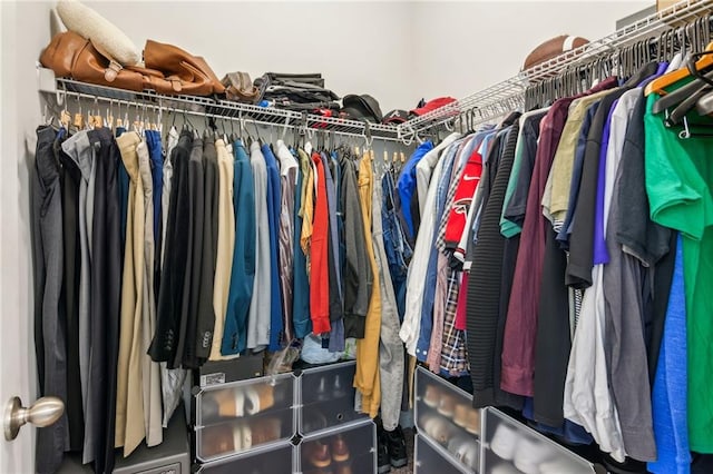 view of spacious closet