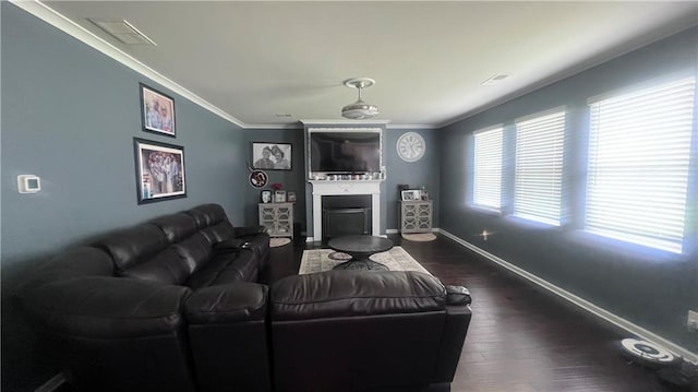 3750 Richmond Bnd, Lithonia, GA 30038 - living area featuring a fireplace, dark wood-style floors, and crown molding