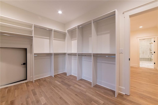 spacious closet featuring wood finished floors