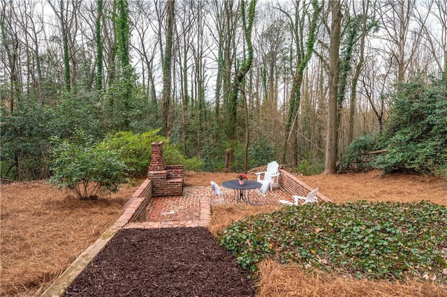 view of yard with a patio area