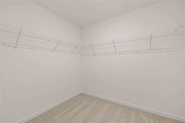 spacious closet with carpet floors