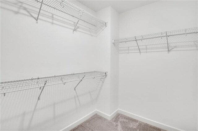 walk in closet with carpet flooring