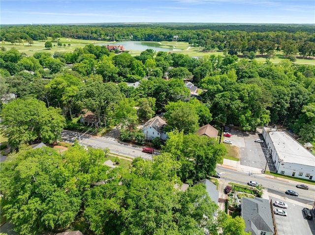 2486 Memorial Dr SE, Atlanta, GA 30317 - aerial view of a nearby body of water and a forest