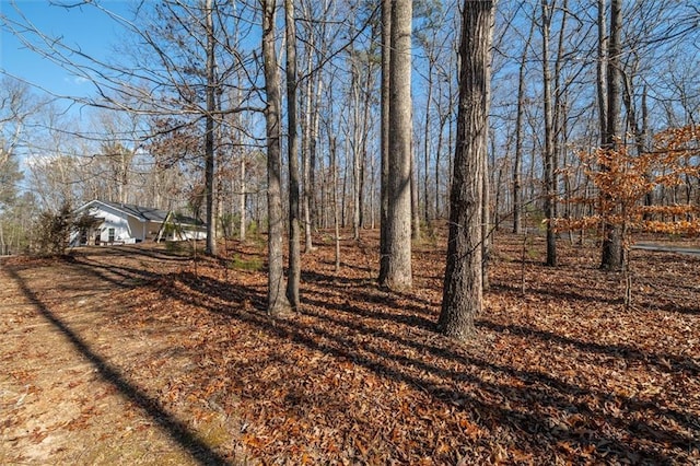 4286 Pool Rd, Winston, GA 30187 - view of yard