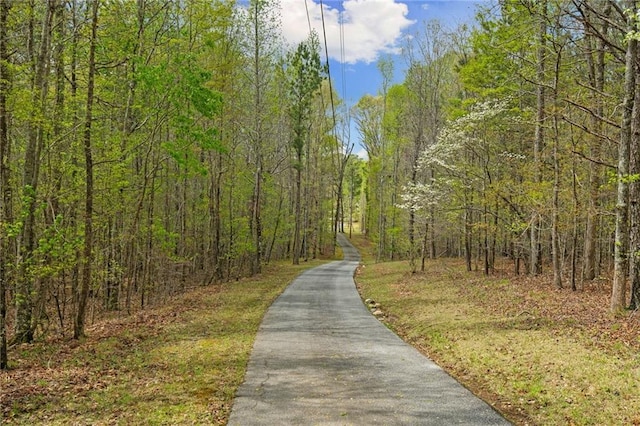 4286 Pool Rd, Winston, GA 30187 - view of property's community with a forest view and driveway