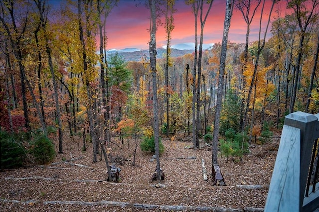 nature at dusk with a wooded view