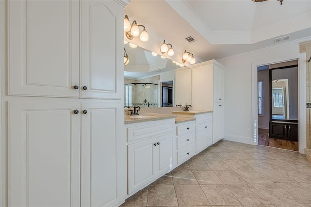 bathroom featuring a raised ceiling, ornamental molding, vanity, and a shower with shower door