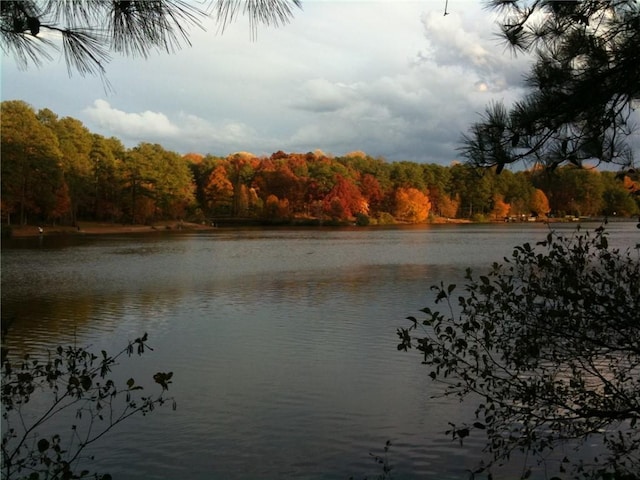1703 W Nancy Creek Dr NE, Brookhaven, GA 30319 - water view with a heavily wooded area