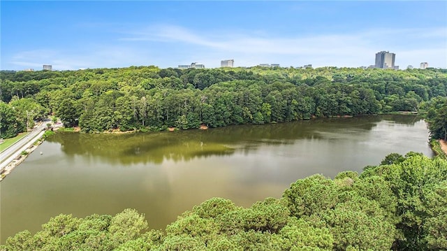 1703 W Nancy Creek Dr NE, Brookhaven, GA 30319 - water view with a forest