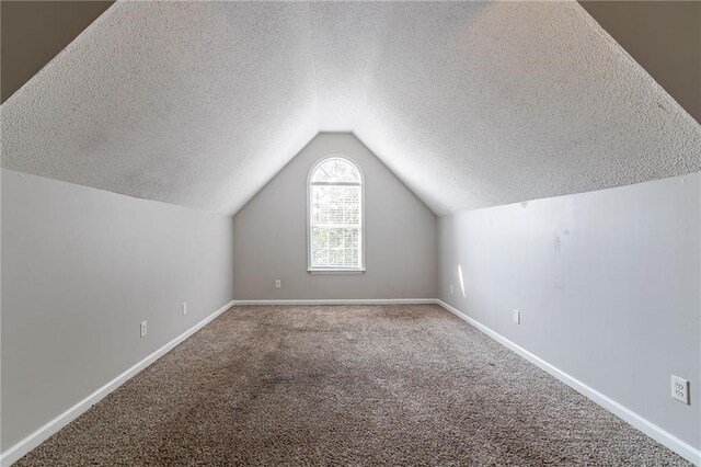 7384 Birch Hollow Pl, Douglasville, GA 30134 - bonus room with a textured ceiling, vaulted ceiling, carpet, and baseboards