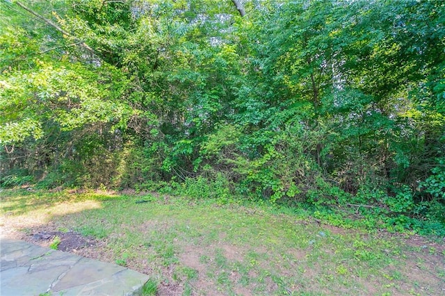 7384 Birch Hollow Pl, Douglasville, GA 30134 - view of yard featuring a wooded view
