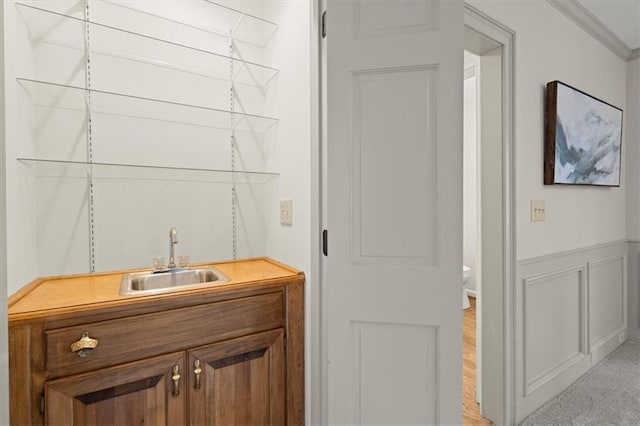 bar featuring light colored carpet, ornamental molding, and sink