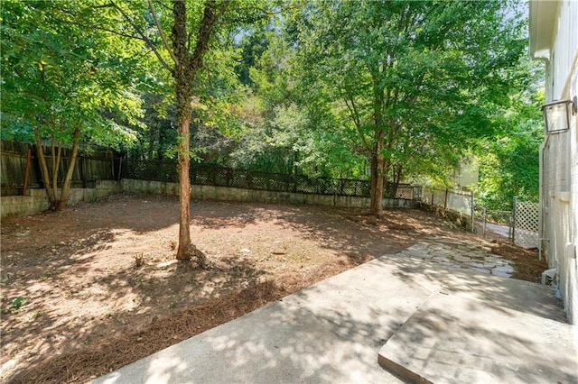 view of yard with a fenced backyard and a patio area