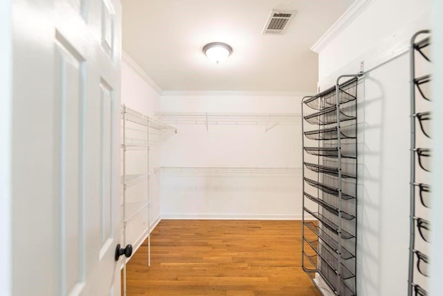 100 Bentwood Cir, Macon, GA 31210 - spacious closet with light wood-style floors