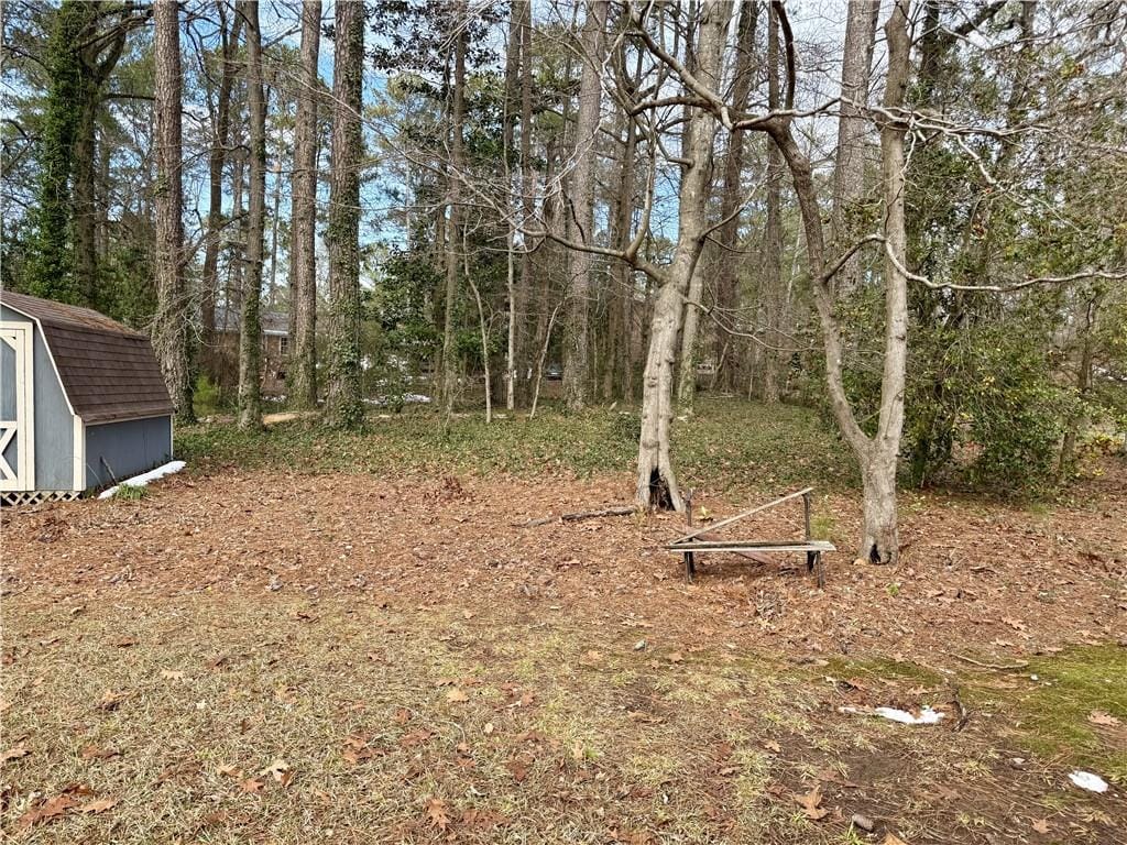 view of yard with a storage unit