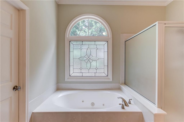 2748 Hidden Falls Dr, Buford, GA 30519 - bathroom featuring a tub with jets, ornamental molding, and a shower with door