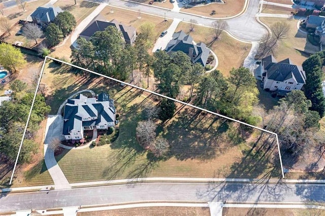 bird's eye view