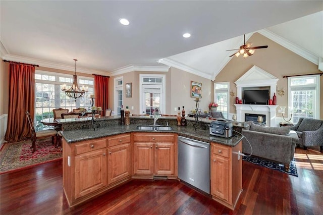 kitchen featuring stainless steel dishwasher, dark wood-style floors, a sink, and plenty of natural light