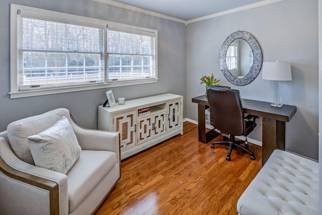 office space with crown molding and hardwood / wood-style floors