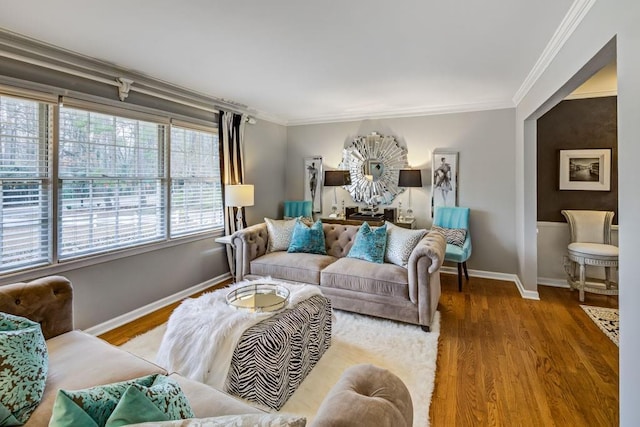 living room with crown molding and hardwood / wood-style floors