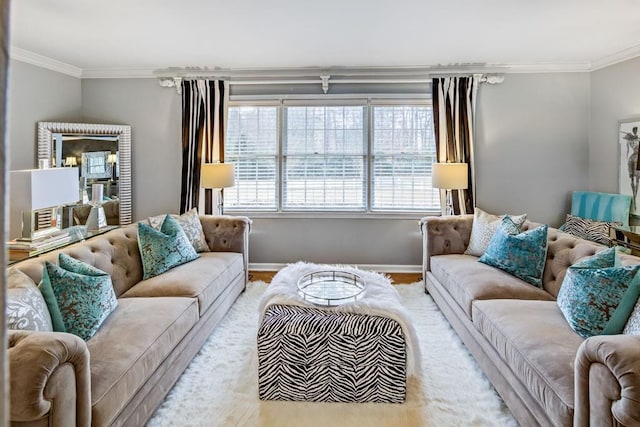 living room with ornamental molding